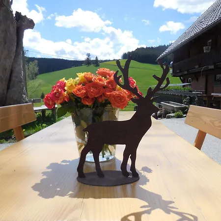 Hirschen *