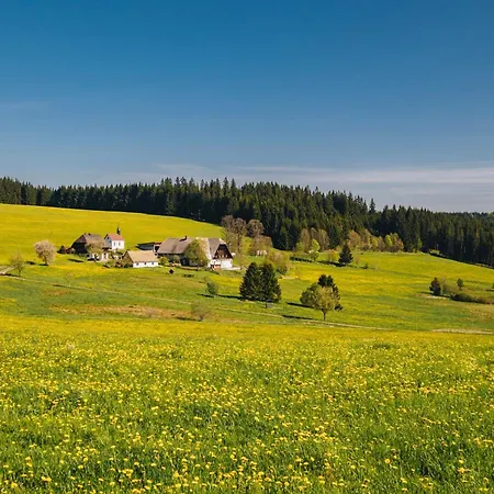 Hirschen * Titisee-Neustadt