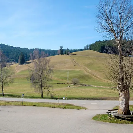 Hirschen Titisee-Neustadt