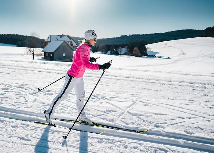 Apartment Hirschen Titisee-Neustadt